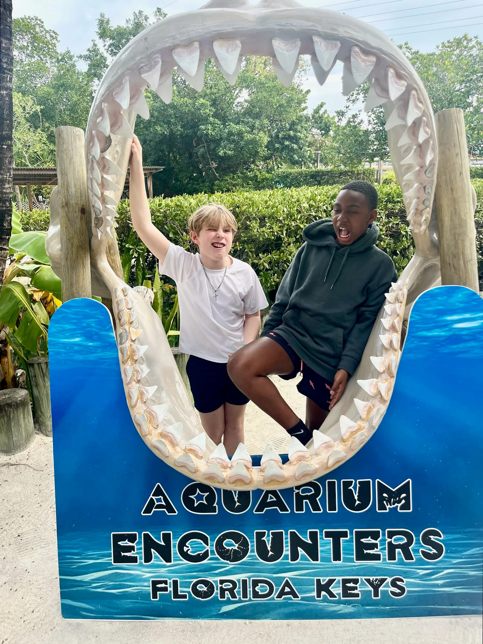 aquarium encounters Florida keys