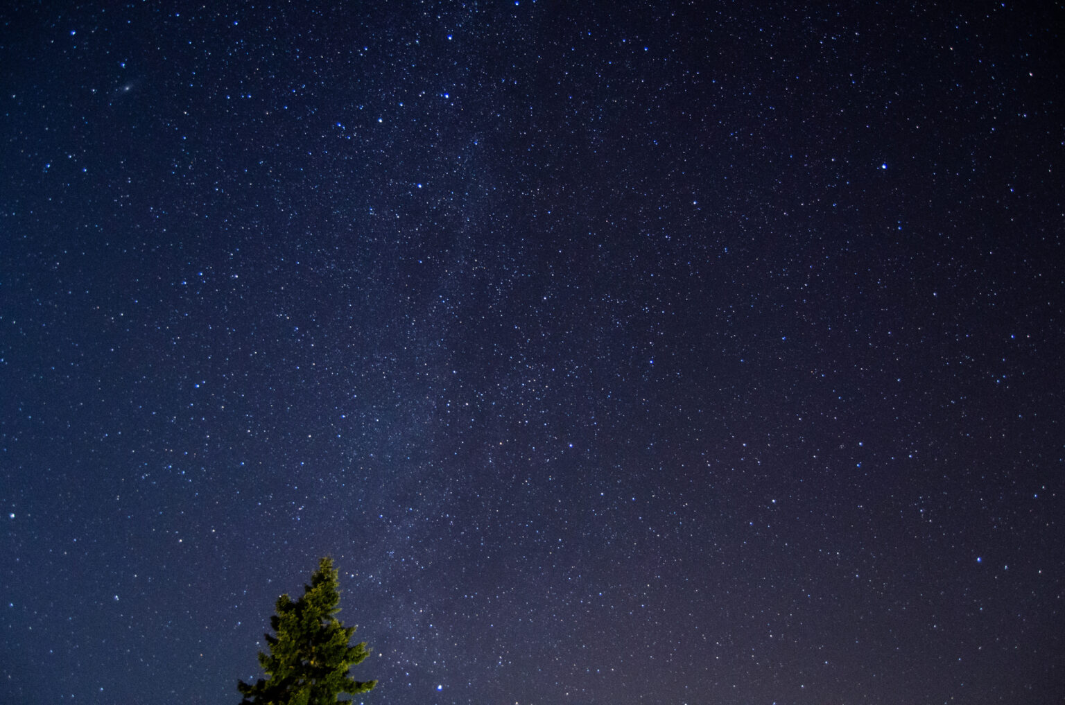 stars