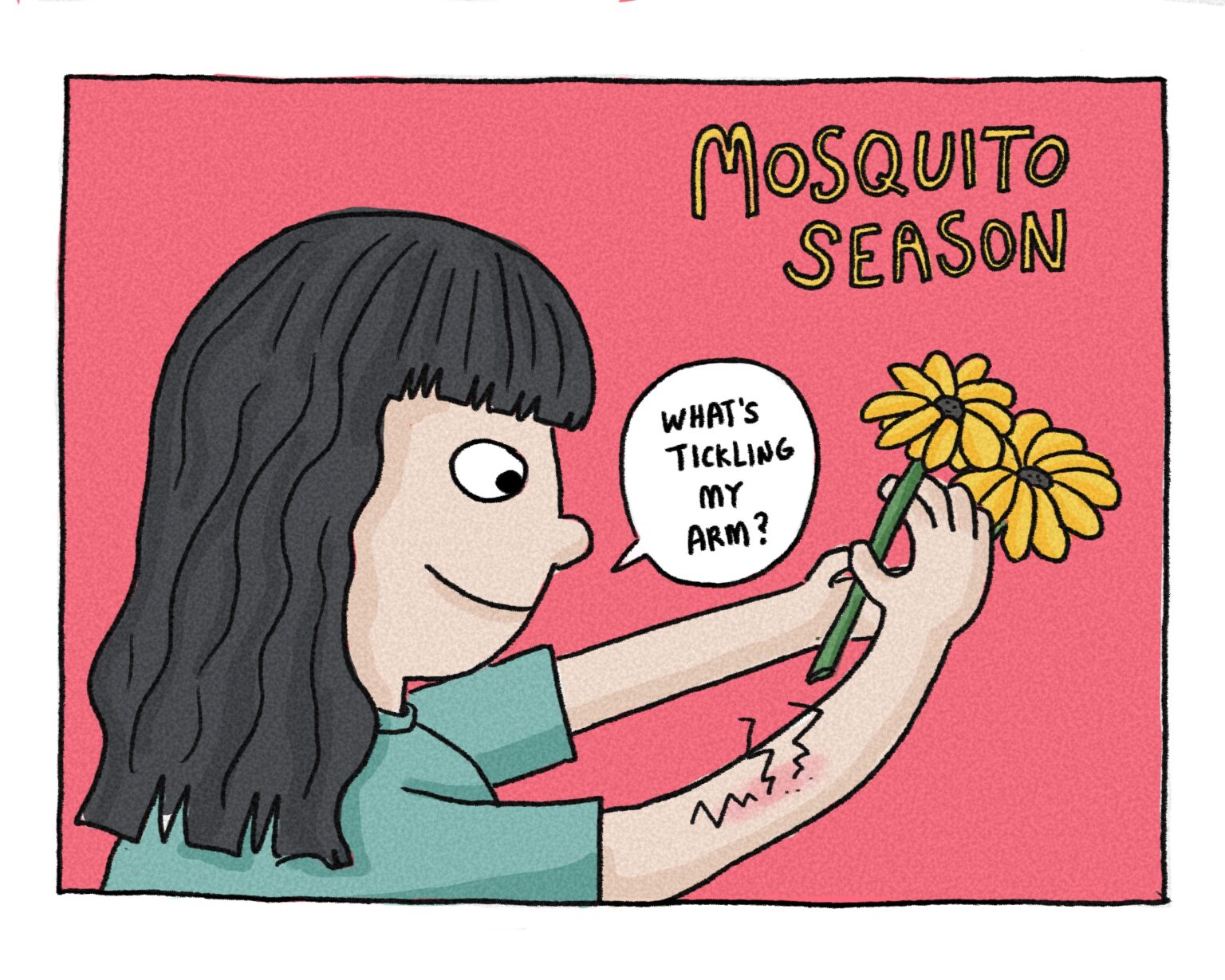 mosquito season comic ruth chan