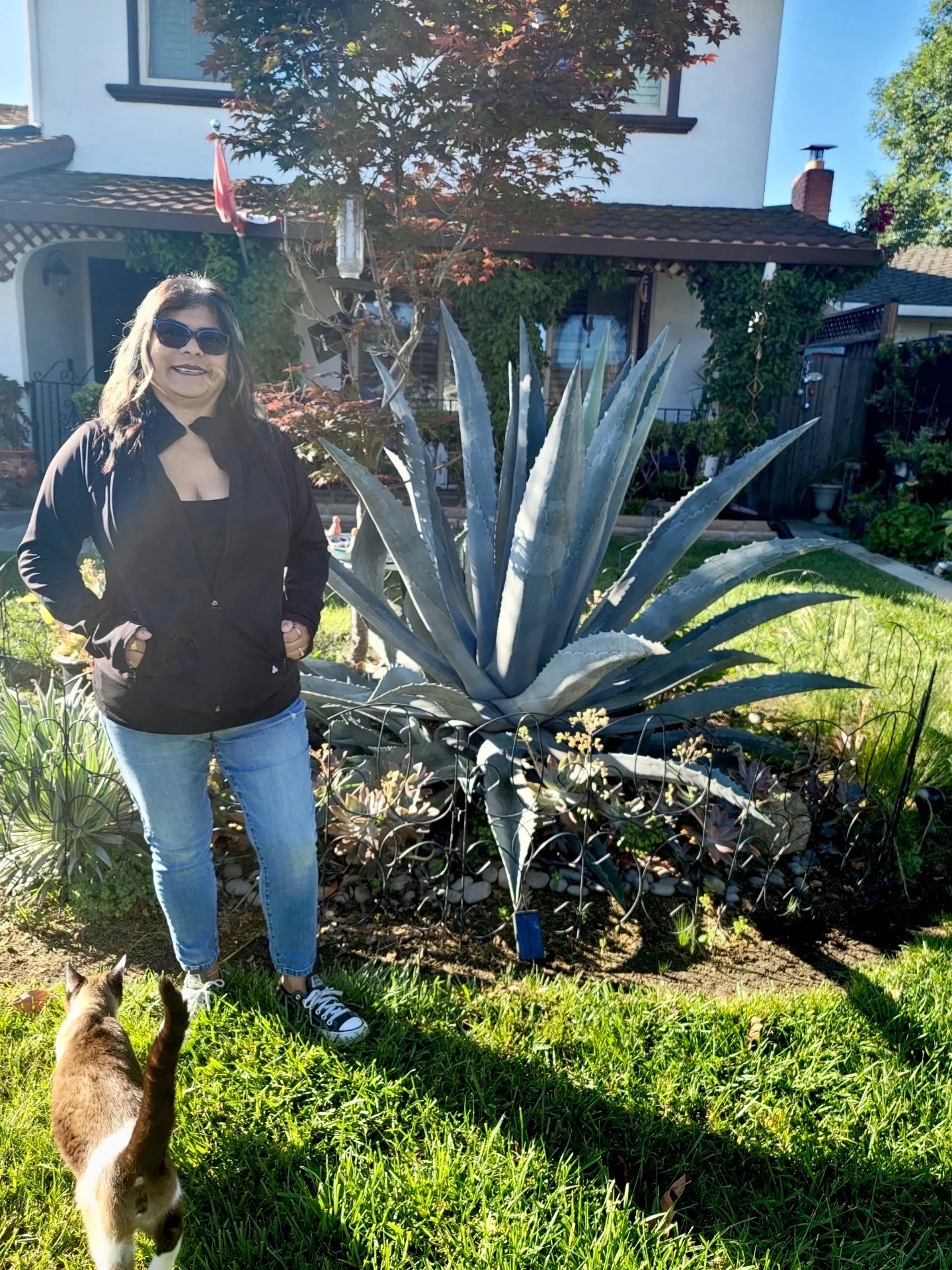 Cup of Jo reader gardens