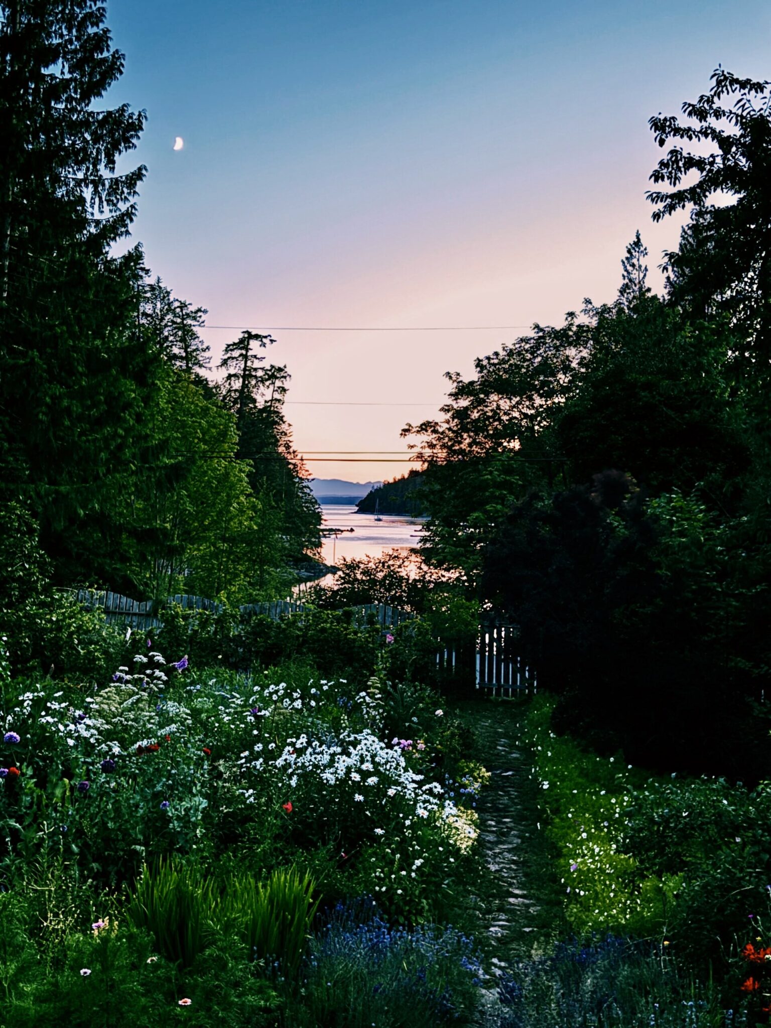 Cup of Jo reader gardens