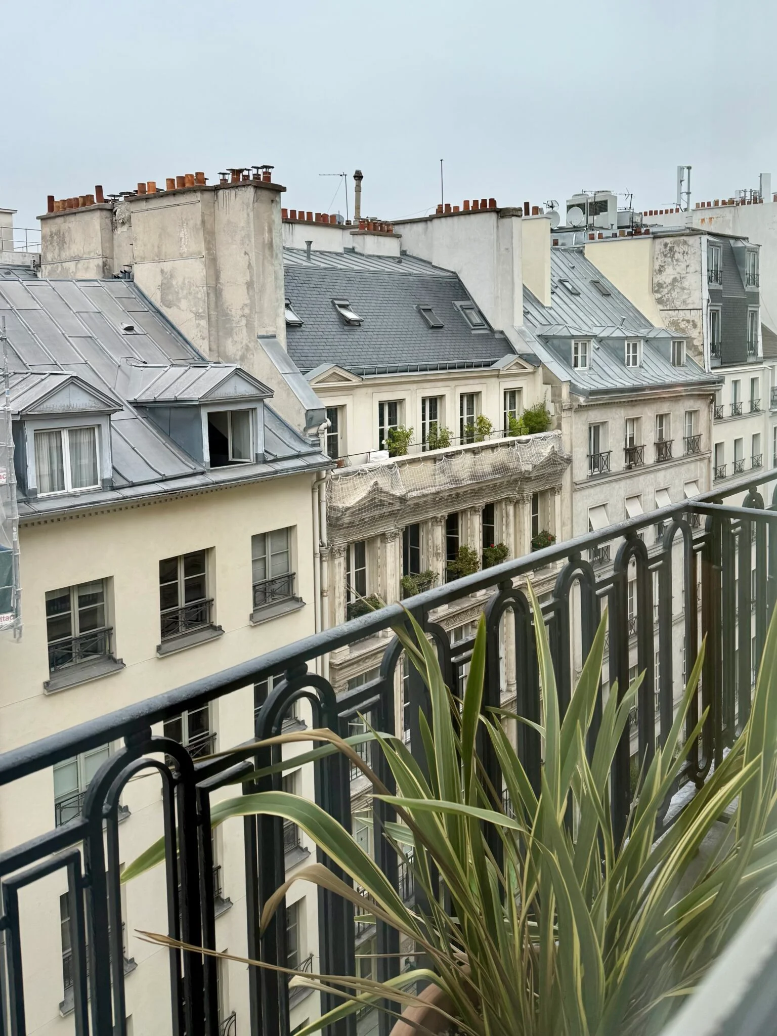 Paris rooftops