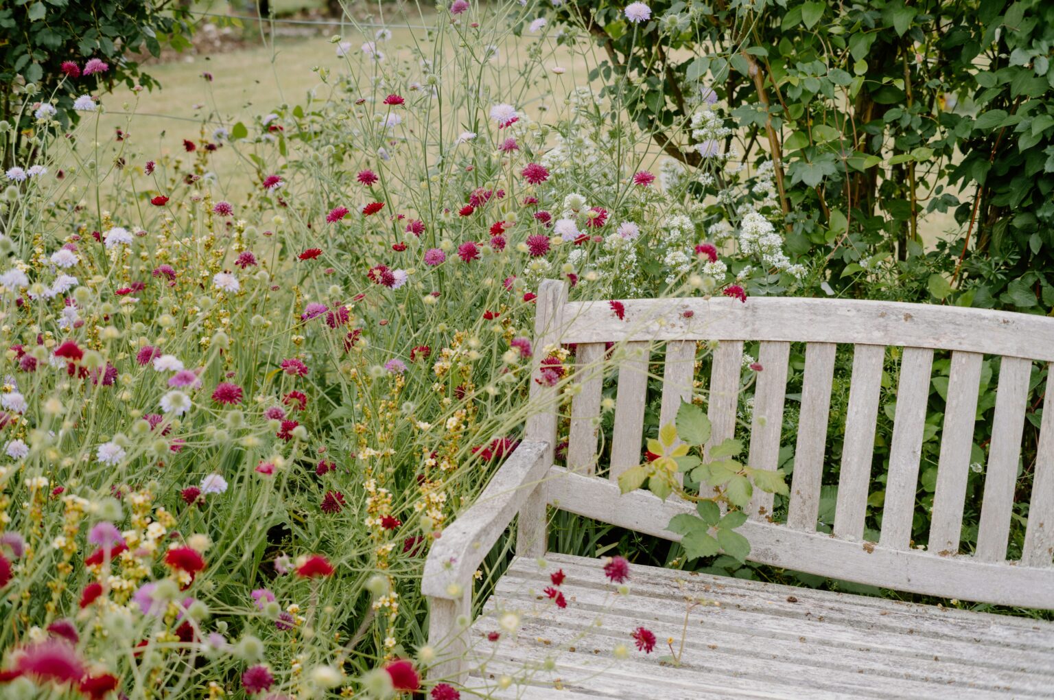 park bench with flowers