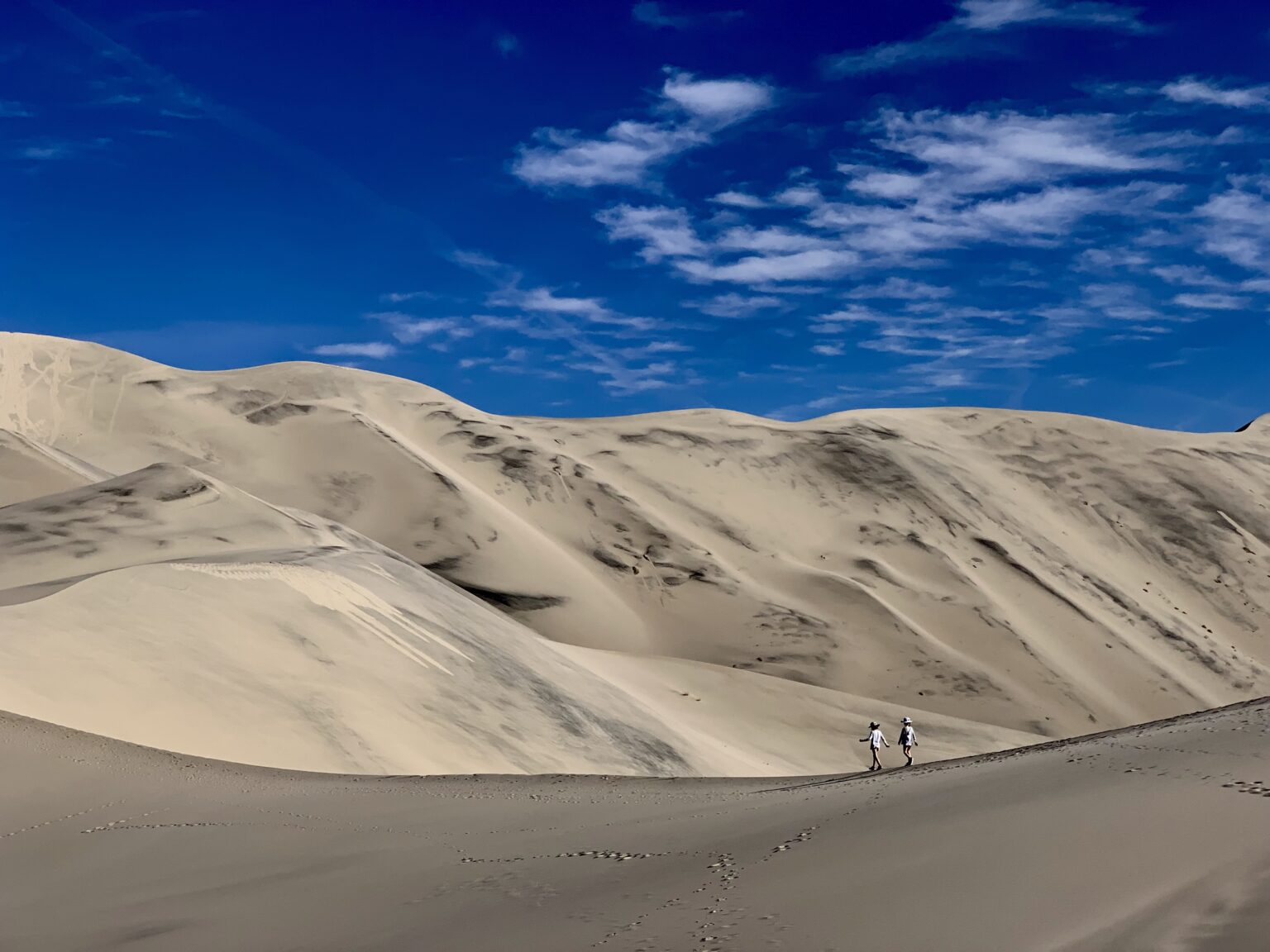 Cup of Jo Readers Share Favorite Walking Paths