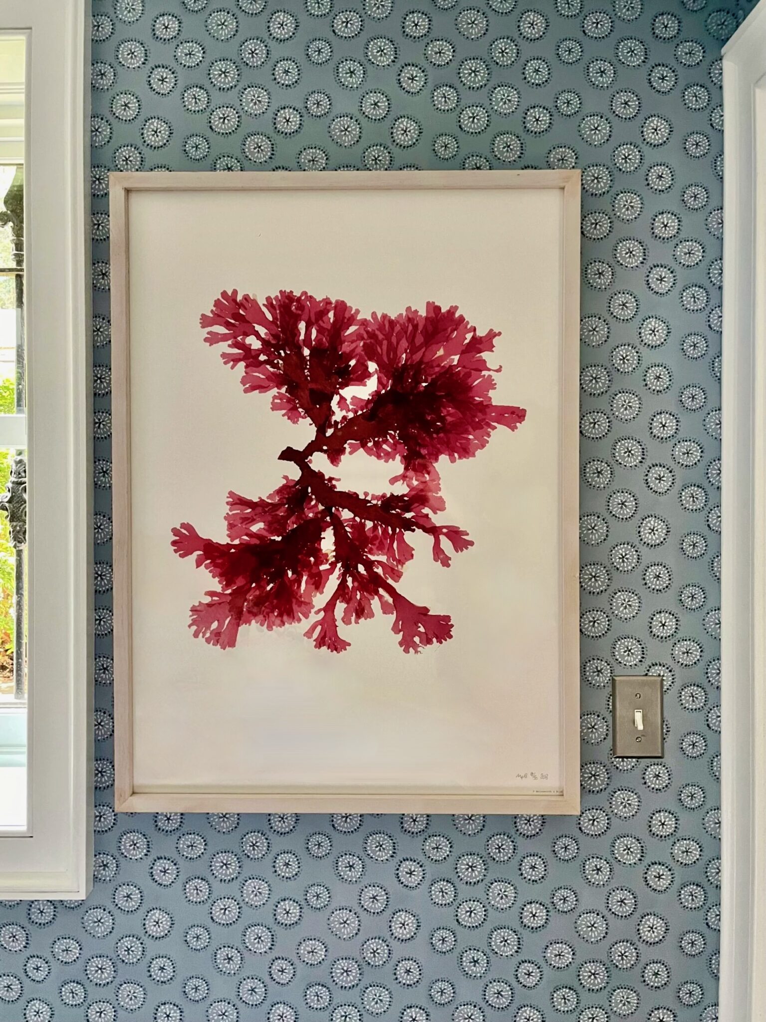 seaweed artwork molesworth & bird
