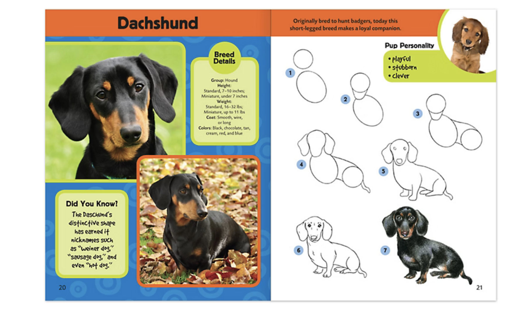 kids’ drawing books