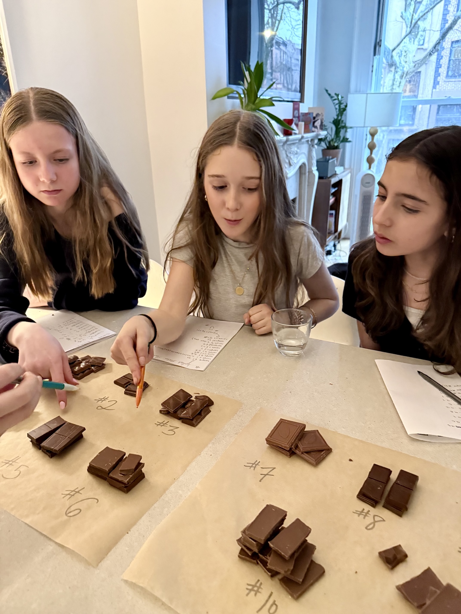 A Milk Chocolate Taste Test