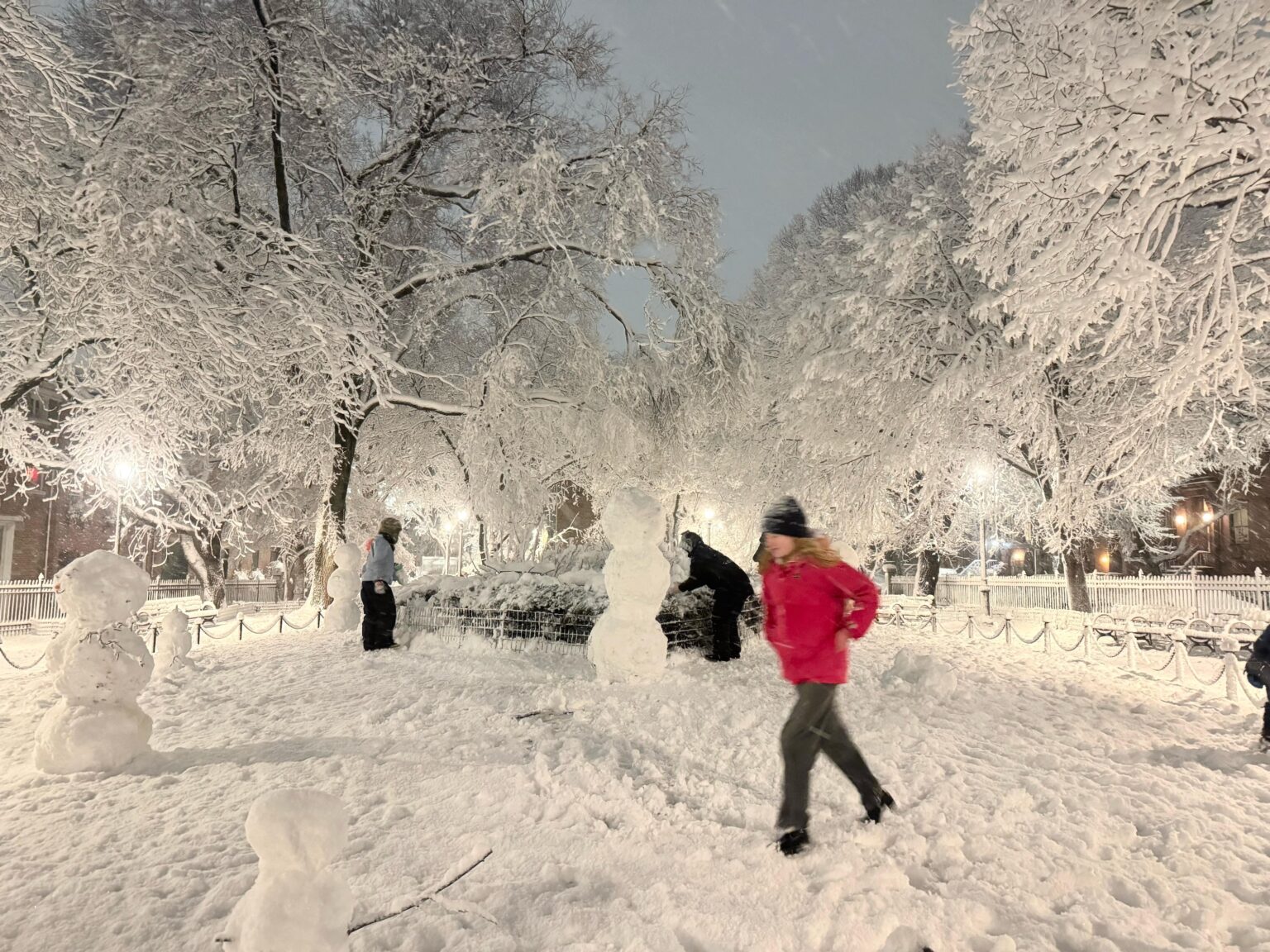 Brooklyn snowstorm 2026