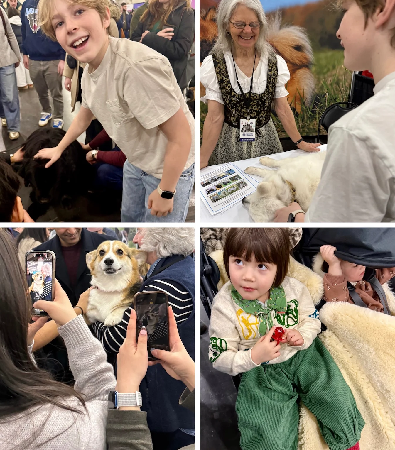 akc meet the breeds 2026 javits center