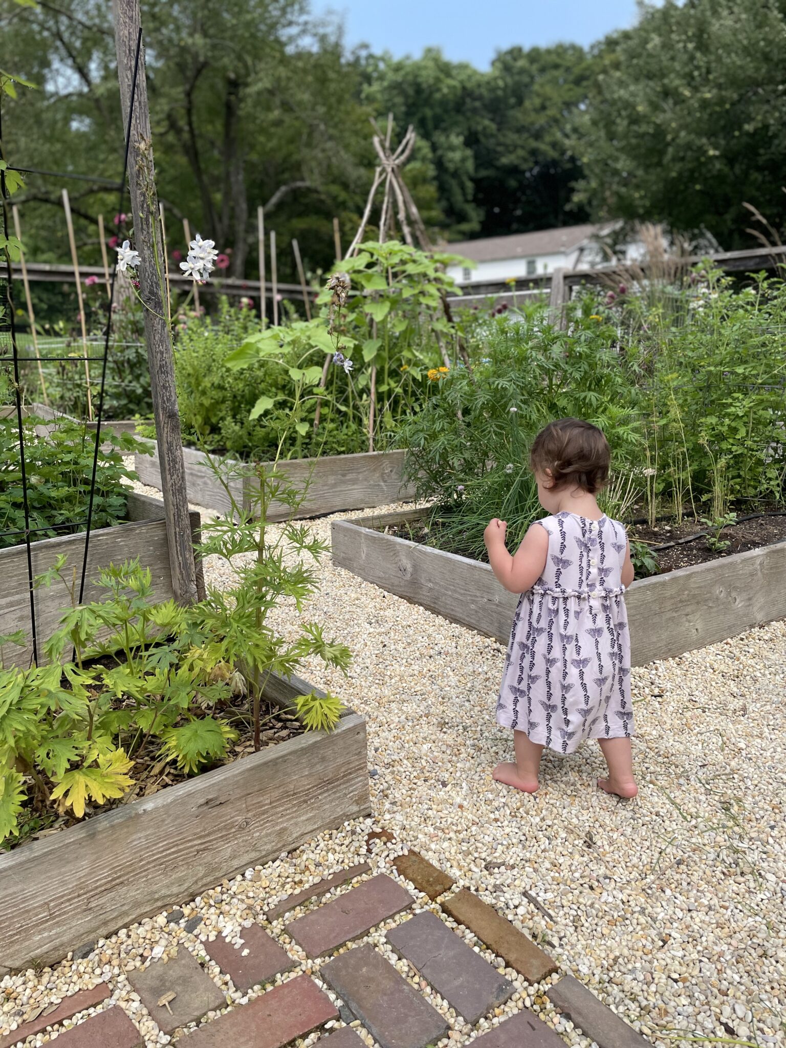 Cup of Jo reader gardens