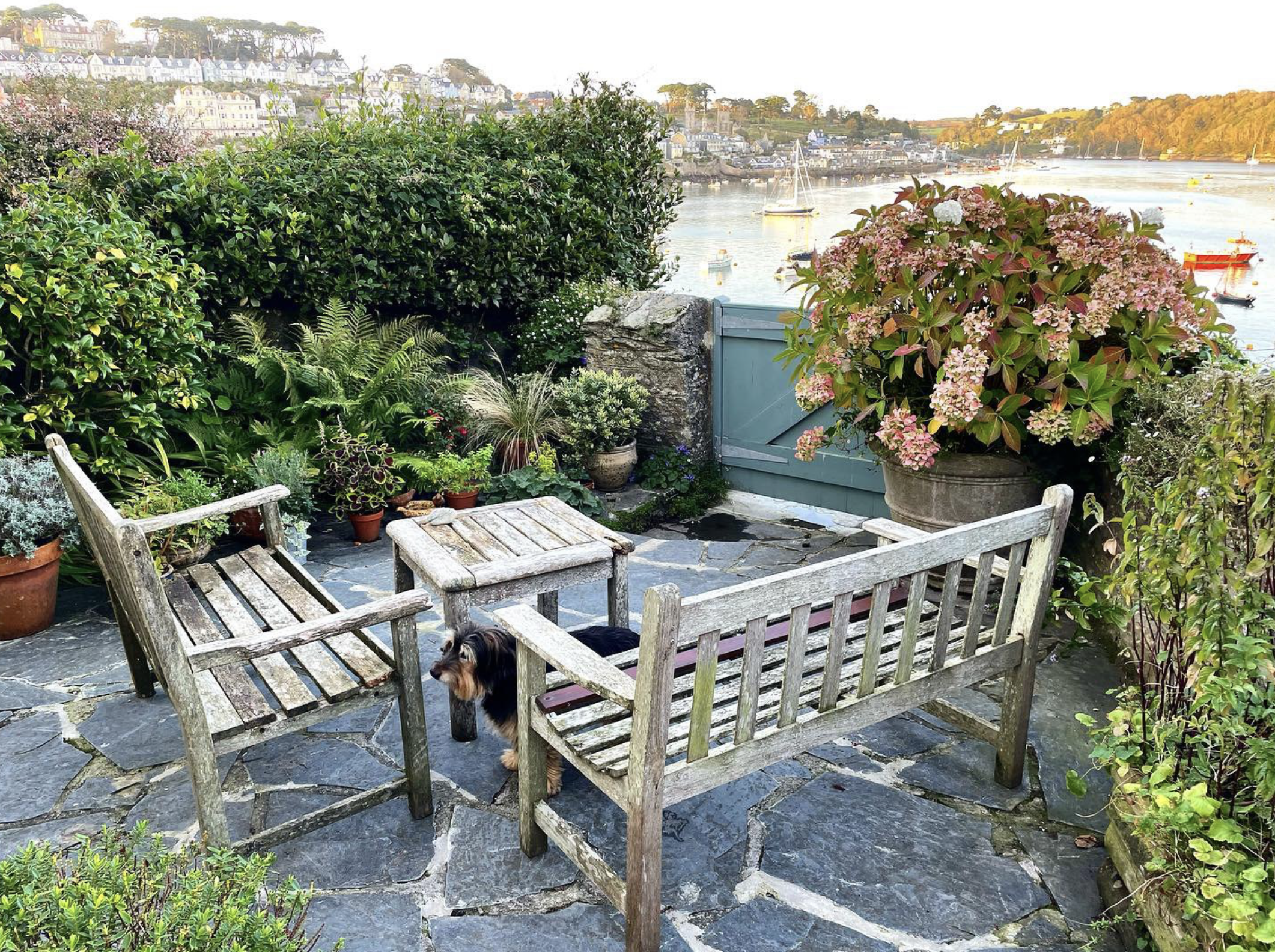 Cornwall England garden Joanna Goddard