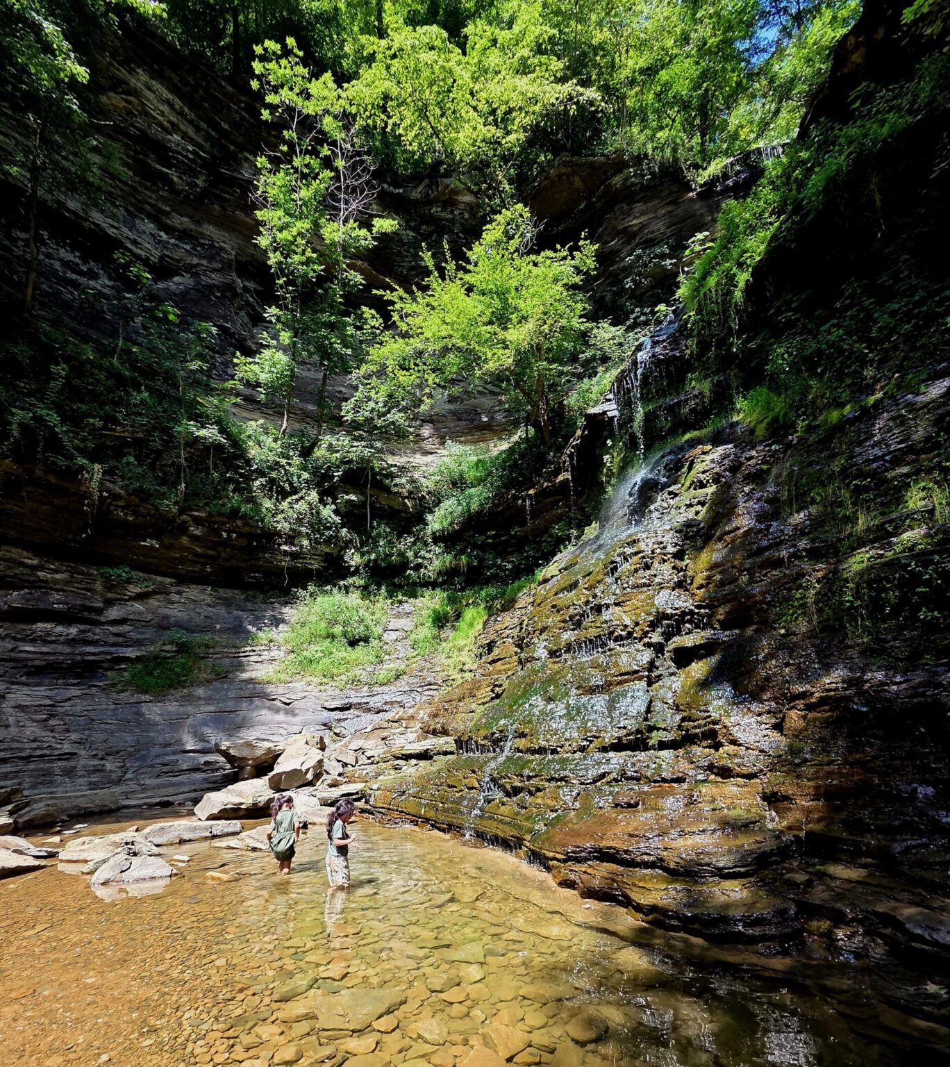 cathedral falls West Virginia