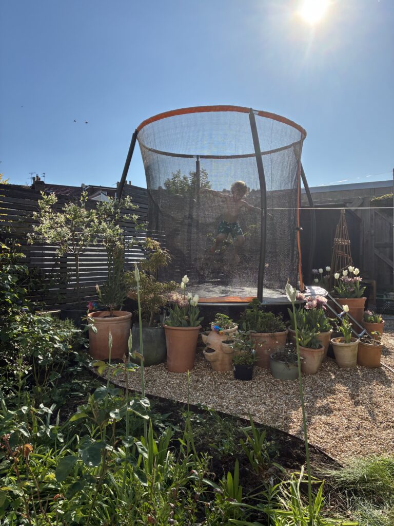 Readers share their gorgeous gardens
