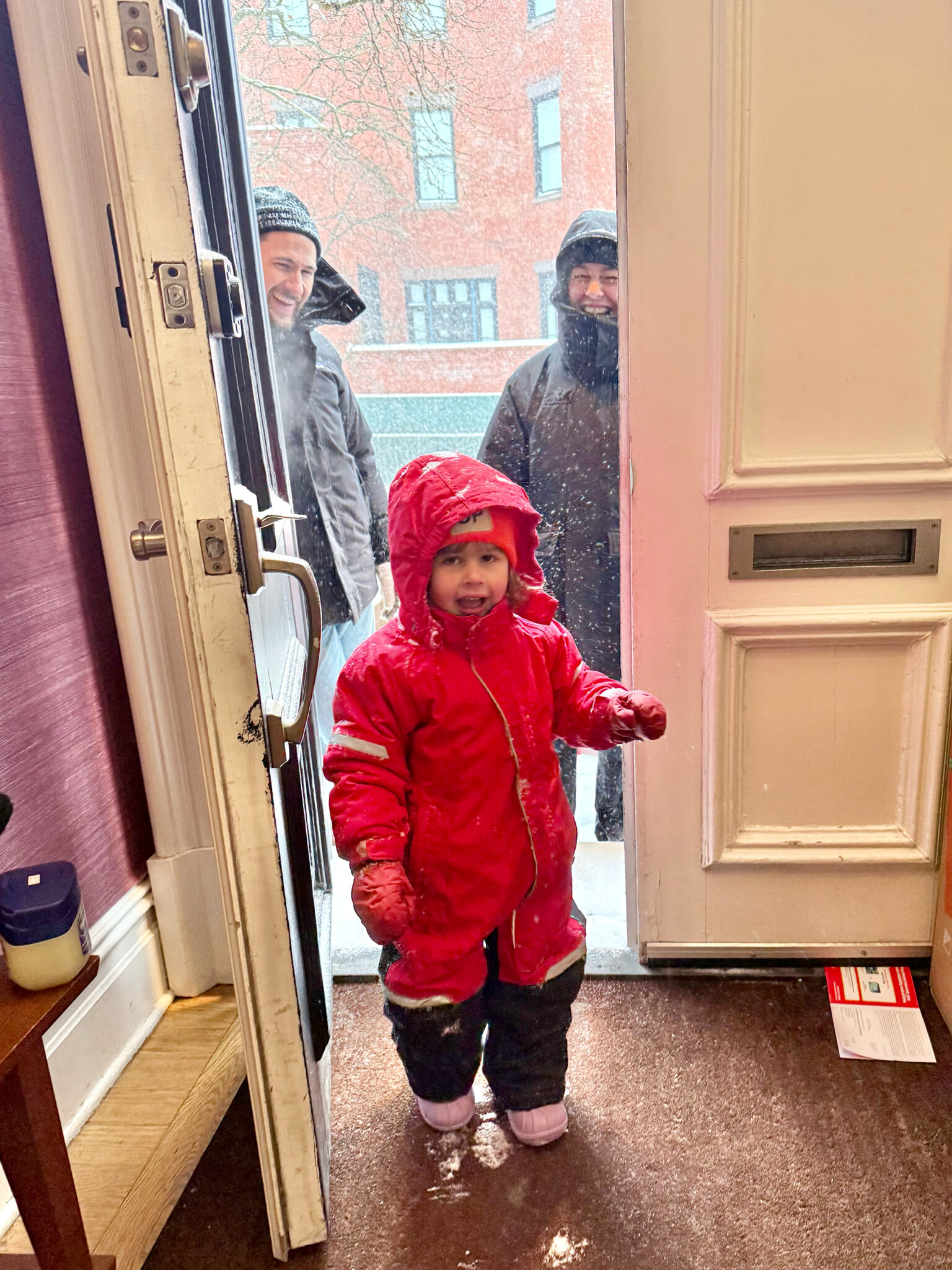 snowstorm Brooklyn