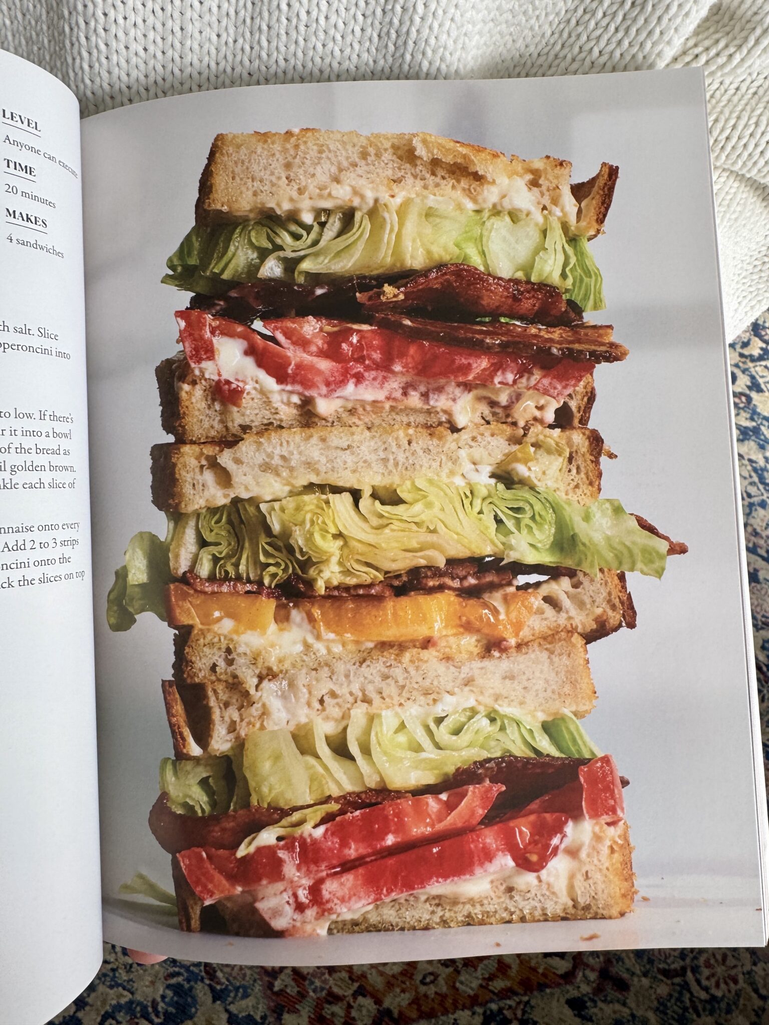 Ella Quittner cookbook Obsessed With the Best