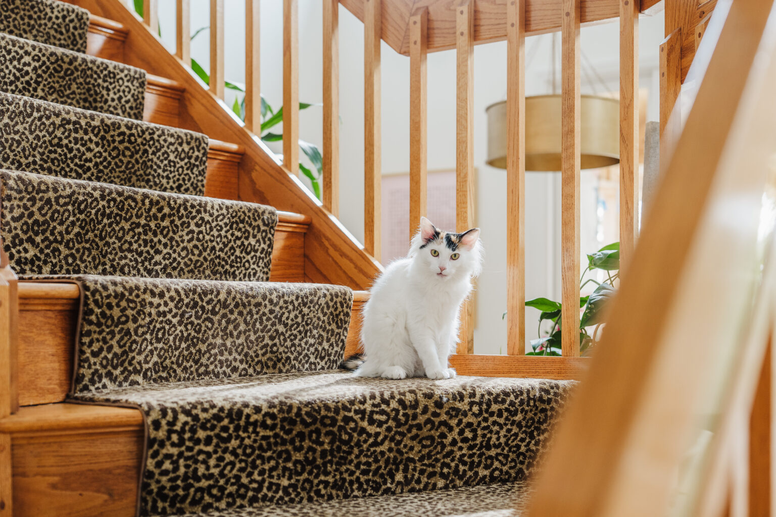 Kate Baer’s Home Tour