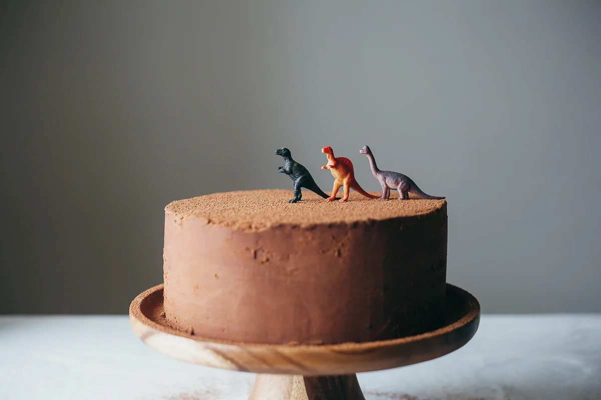 cake with dinosaur toys Molly Yeh