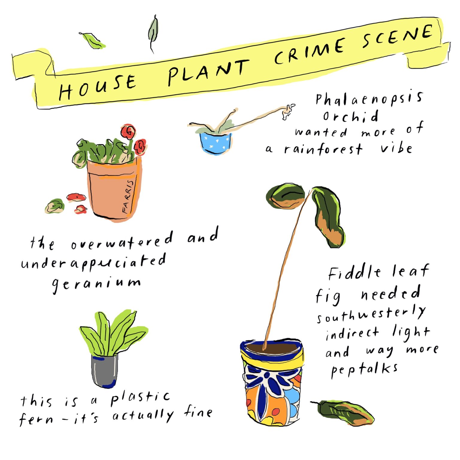 House Plant Crime Scenes