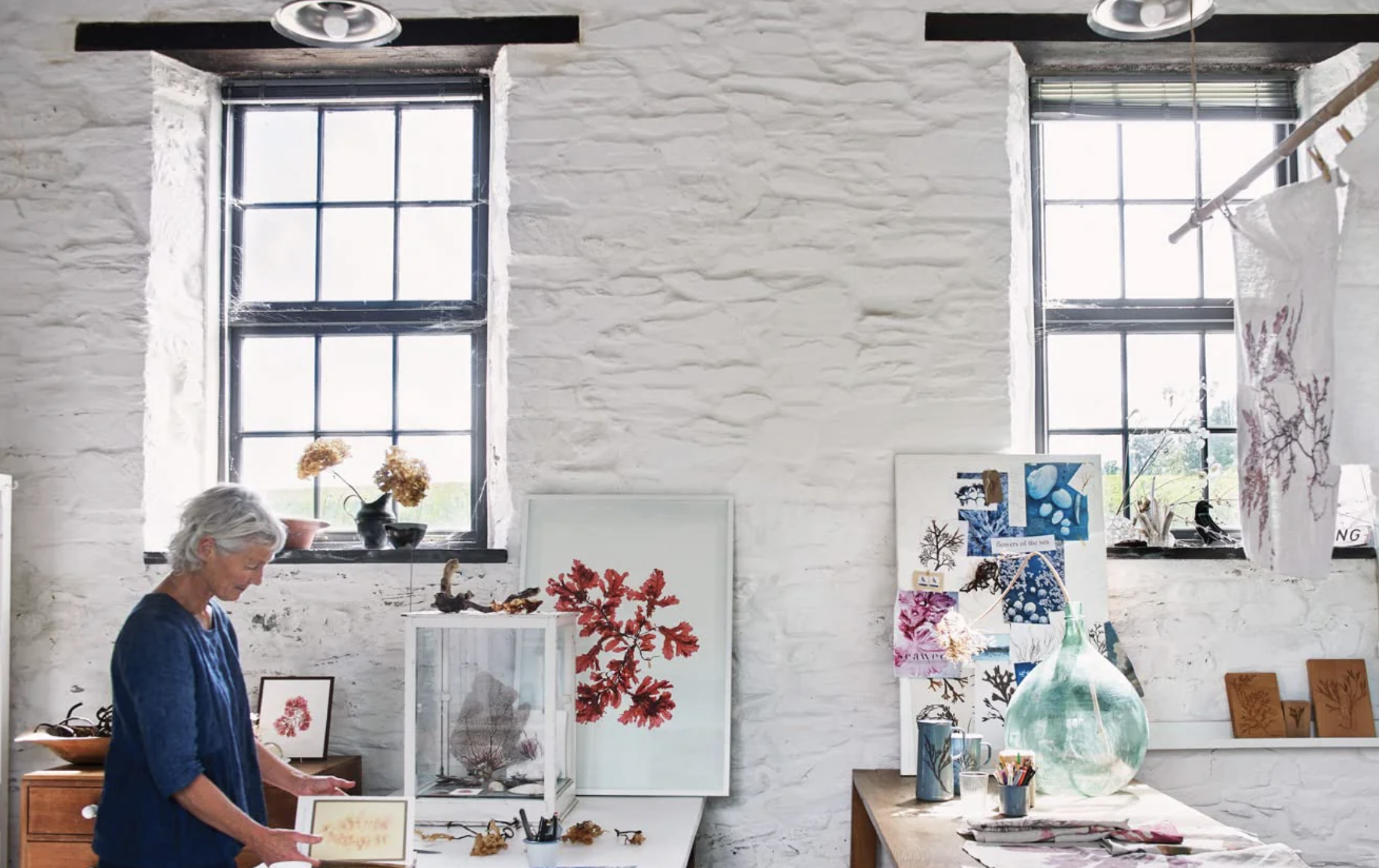 seaweed artwork molesworth & bird