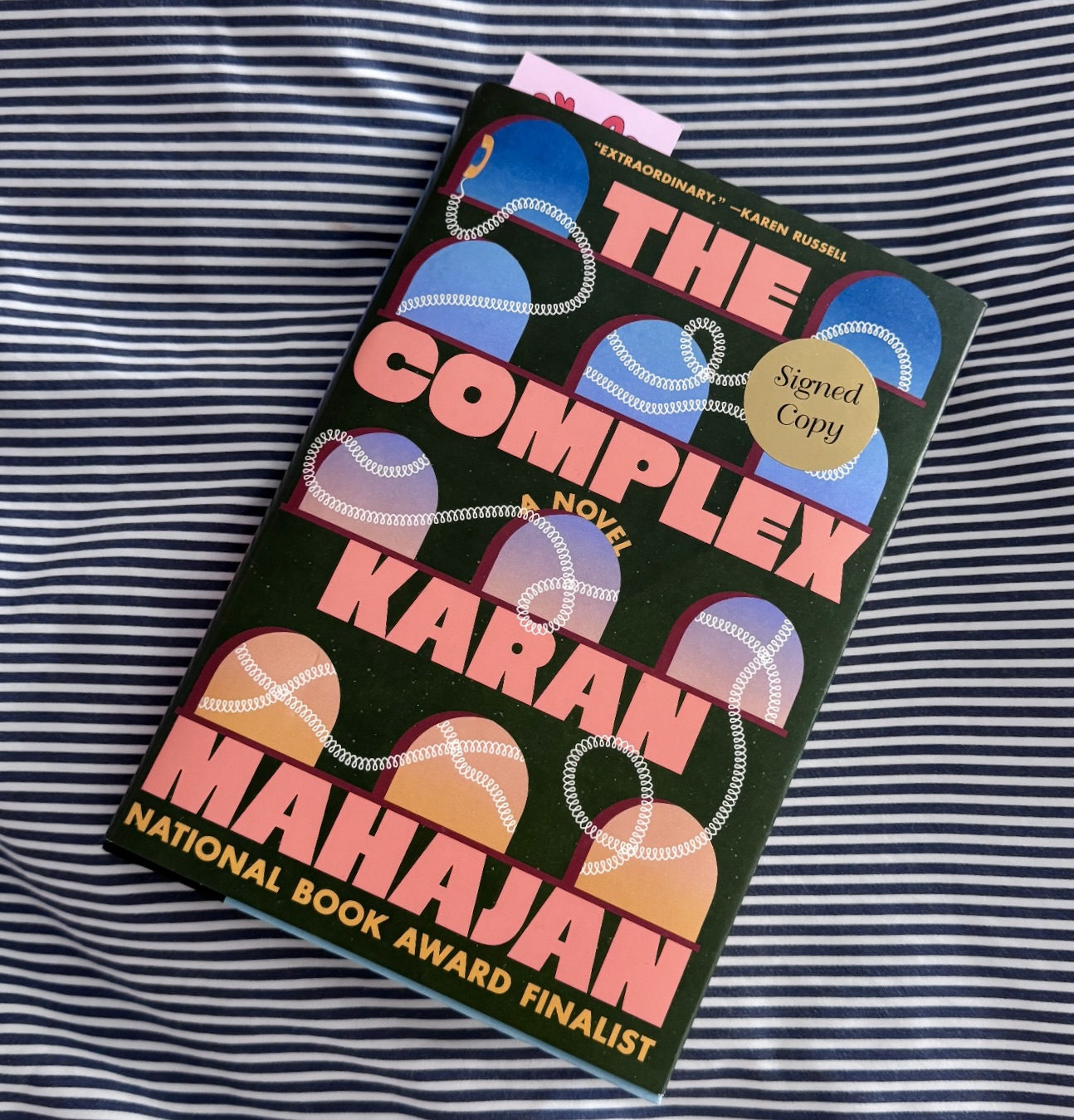 complex novel Karan Mahajan