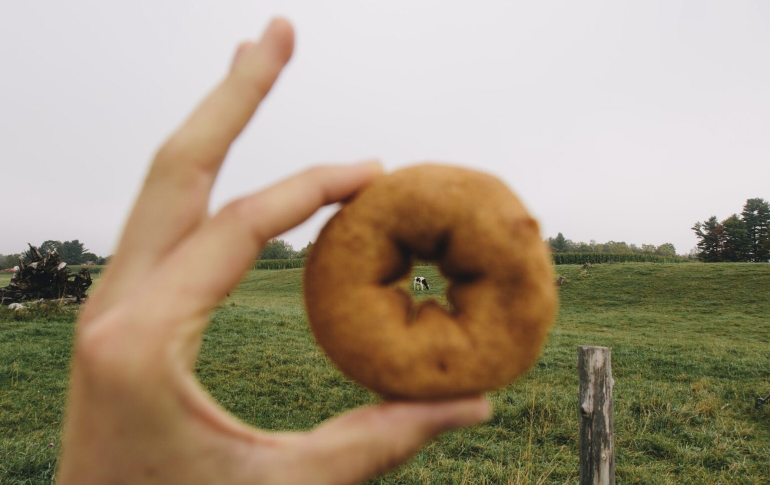 cider donut in Vermont