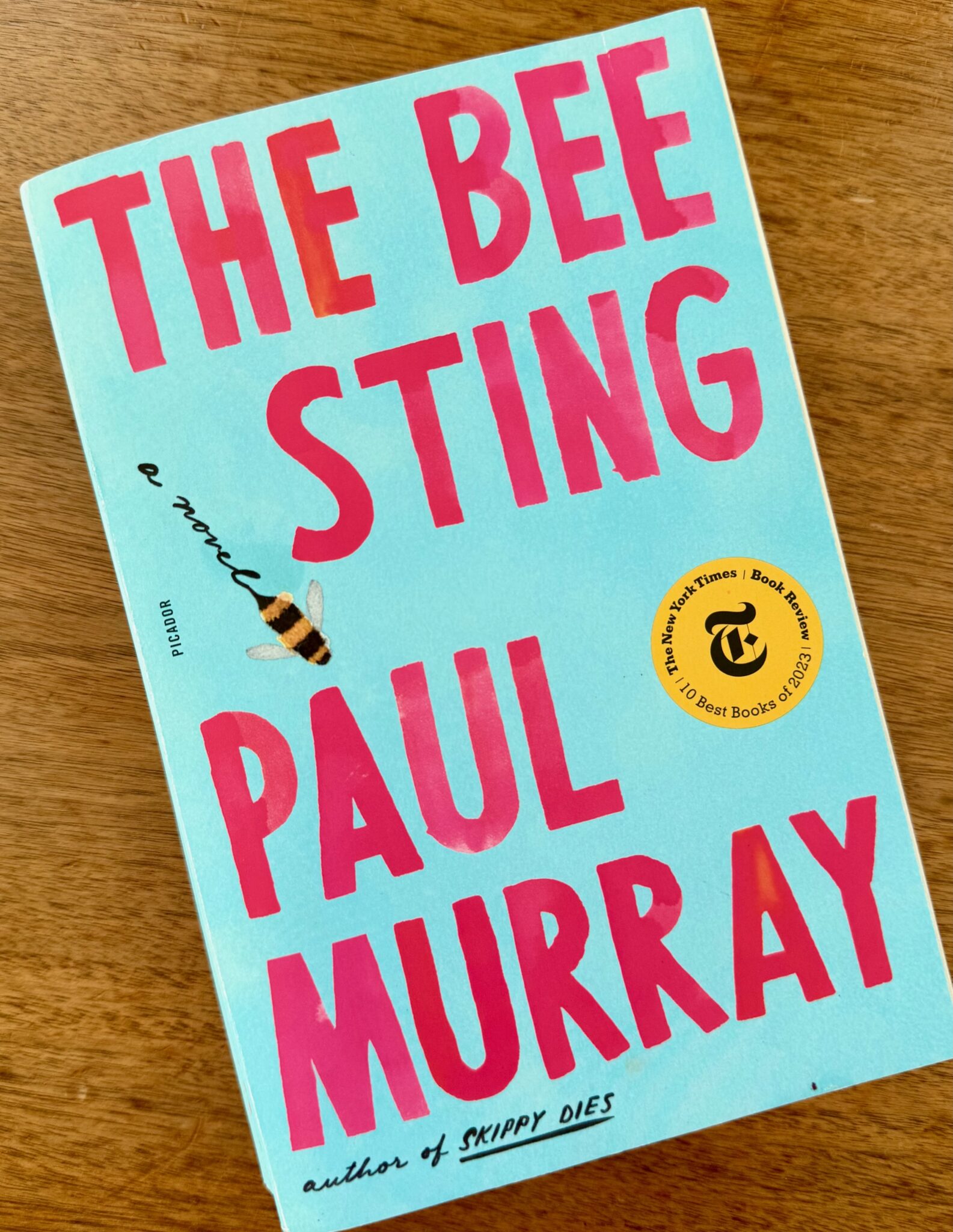 the bee sting book novel