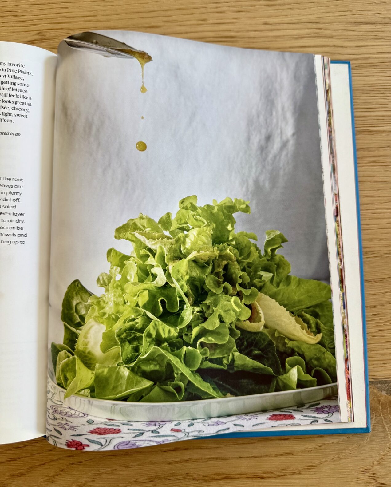 dan pelosi new cookbook lets party