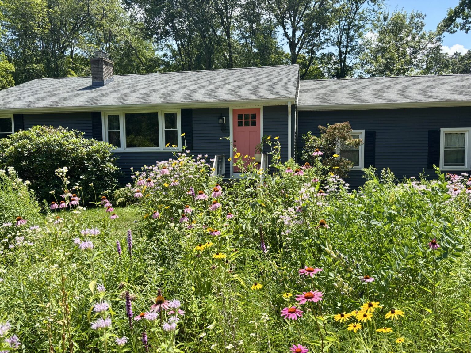 Cup of Jo reader gardens
