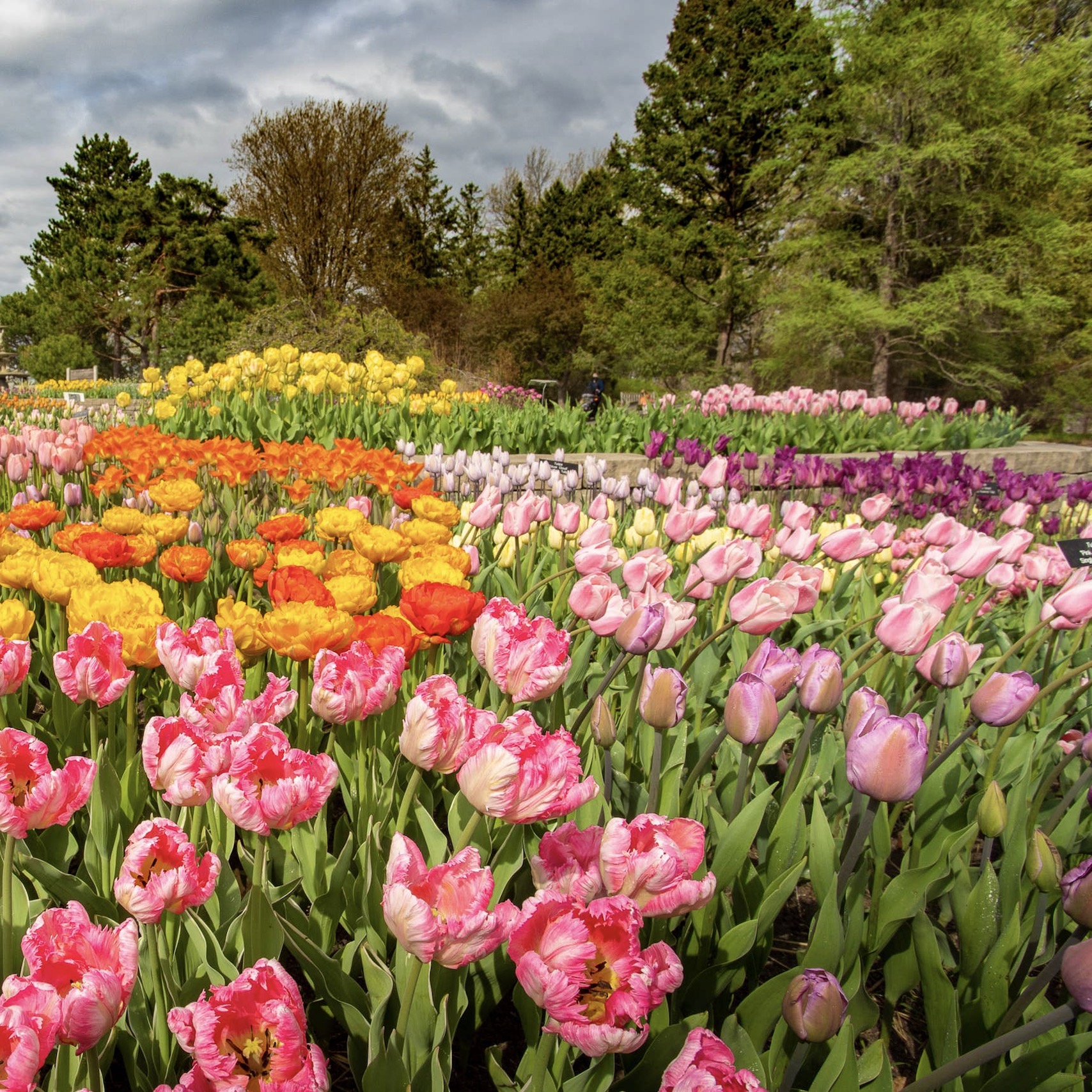 Minnesota landscape arboretum