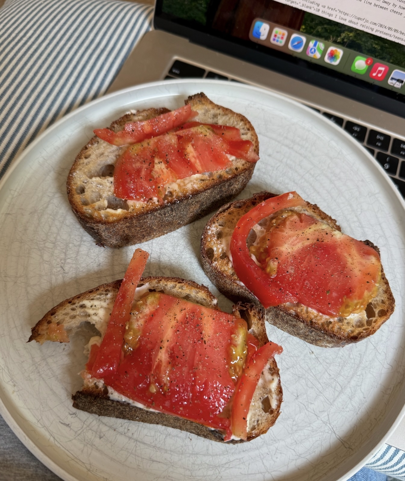 tomato sandwich