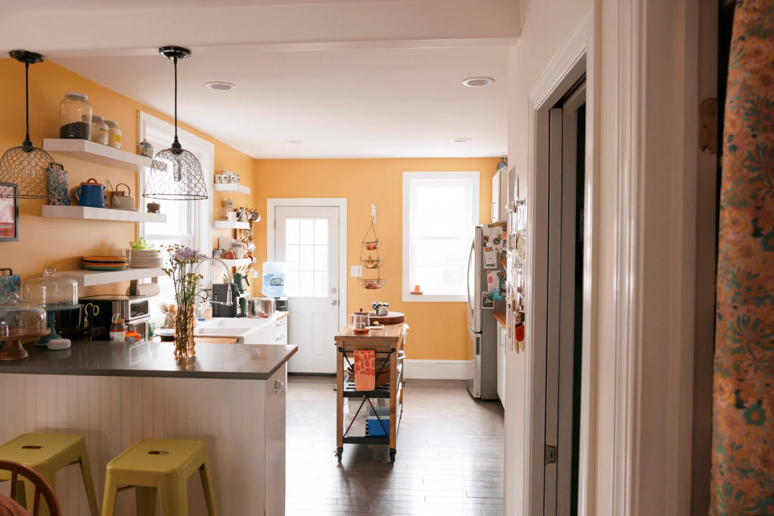 Emma Copley Eisenberg’s Colorful Philly House With Books, Three Cats, and Herbal Tea on Tap