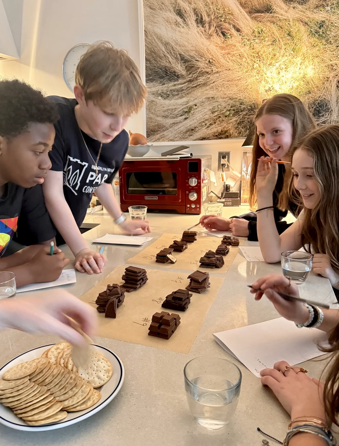 A Milk Chocolate Taste Test