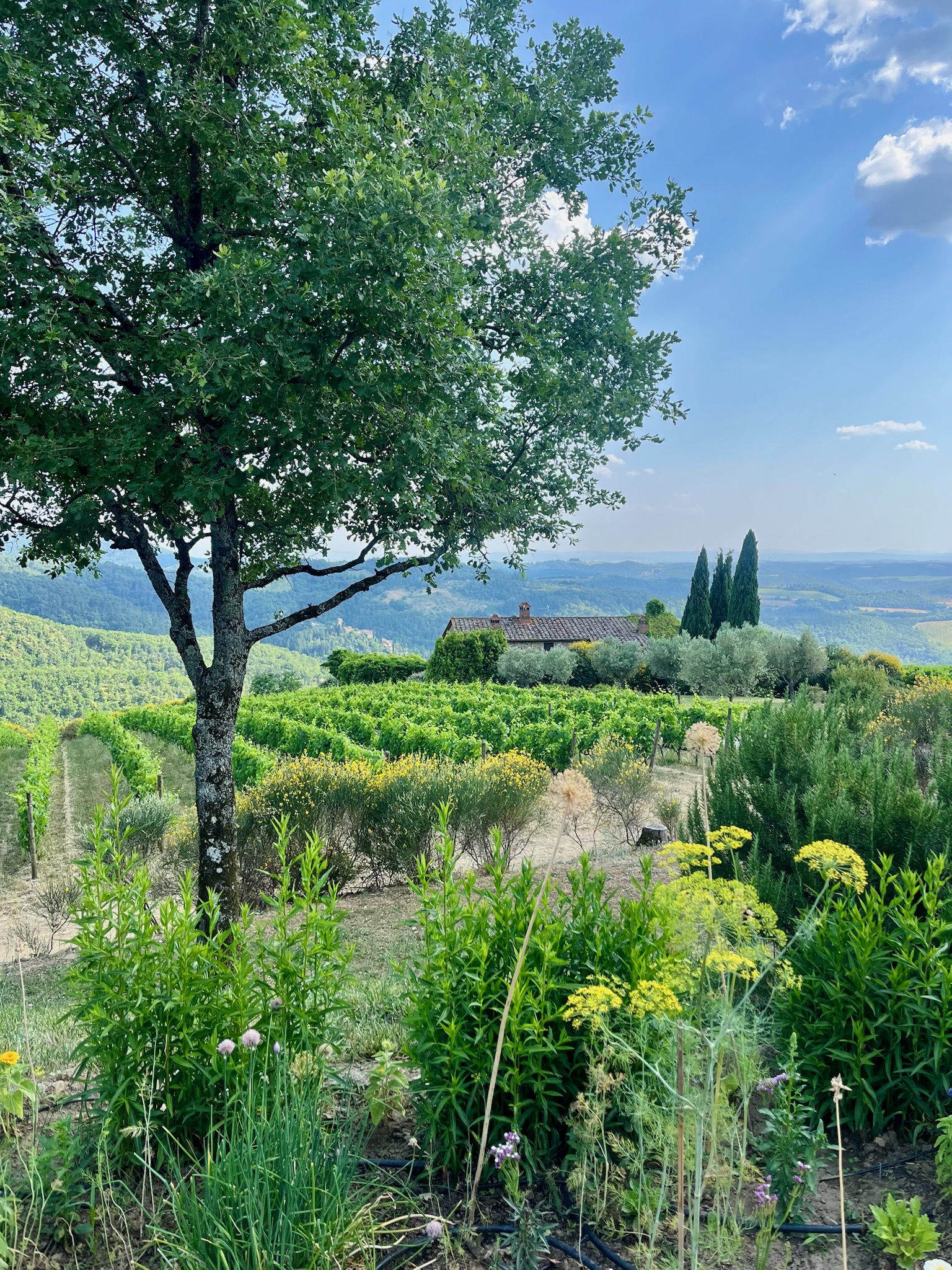 A Family Trip to Tuscany, Italy