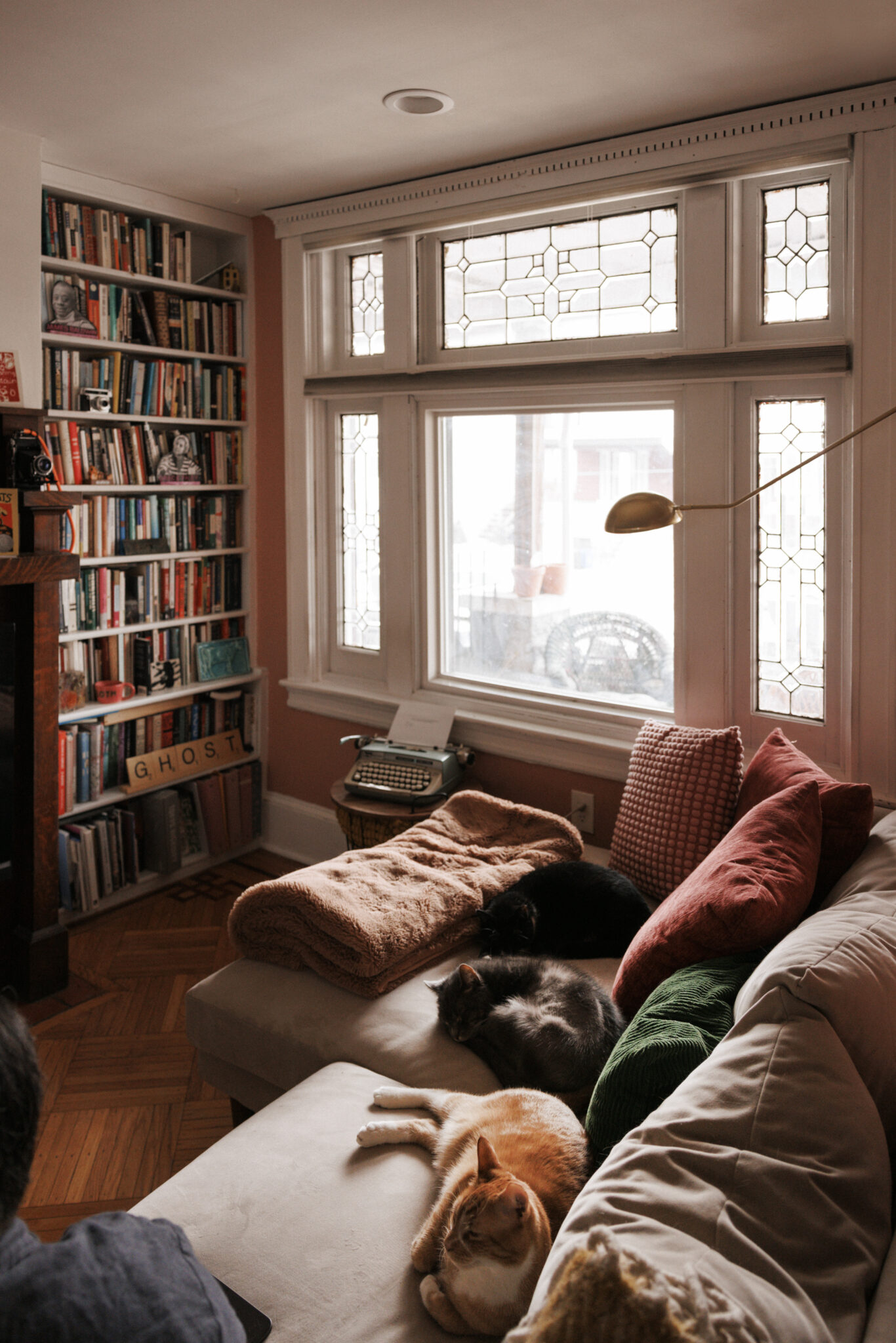 Emma Copley Eisenberg’s Colorful Philly House With Books, Three Cats, and Herbal Tea on Tap