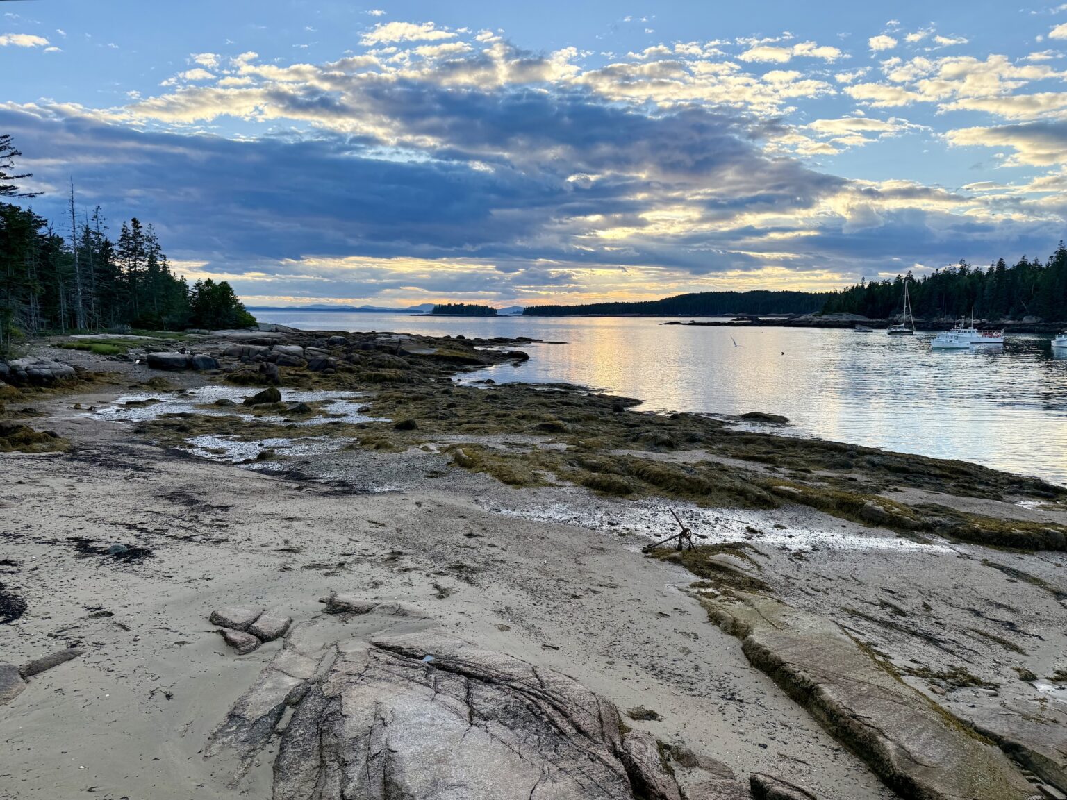 burnt cove boil