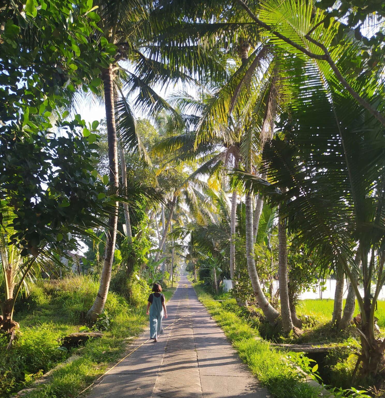 Cup of Jo Readers Share Favorite Walking Paths